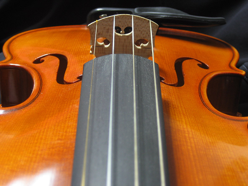 Violin II &copy; Dennis Mojado