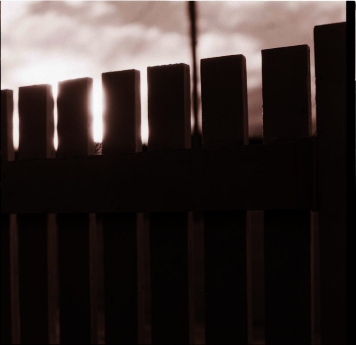 Fence &copy; Dennis Mojado