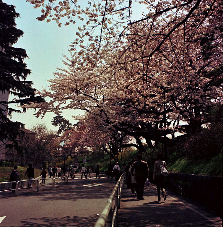 Yotsuya &copy; Dennis Mojado