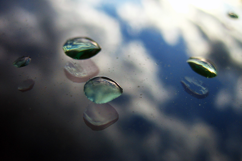 Fall Showers I &copy; Dennis Mojado