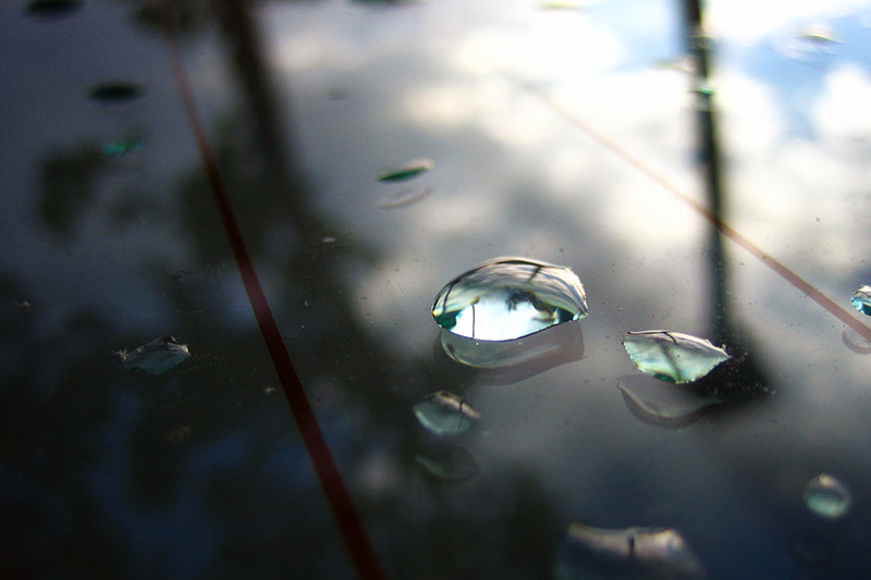 Fall Showers II &copy; Dennis Mojado