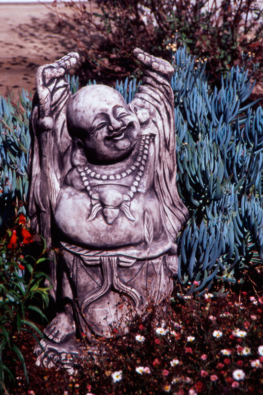 Happy Hotei &copy; Dennis Mojado