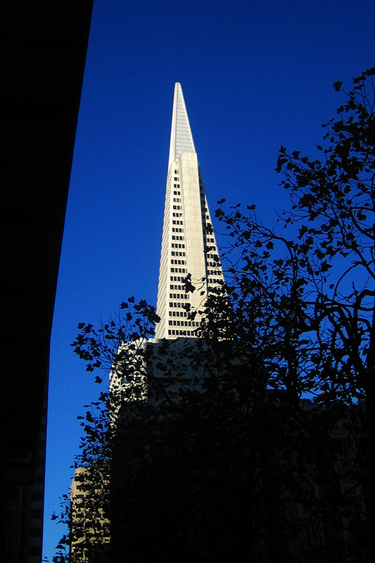 Transamerica, Through the Trees &copy; Dennis Mojado