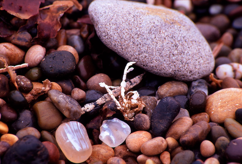 Sticks and Stones &copy; Dennis Mojado