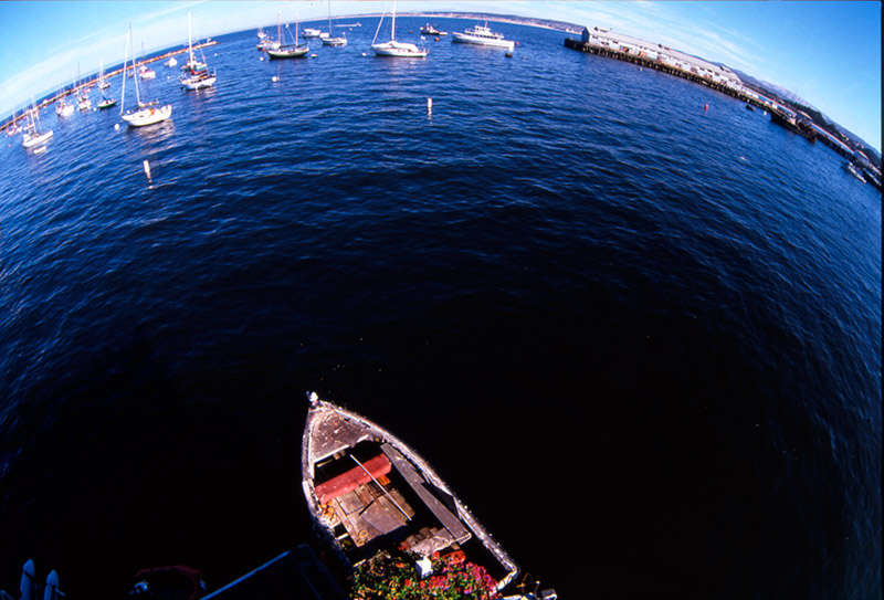 Fish (eye) Boats &copy; Dennis Mojado