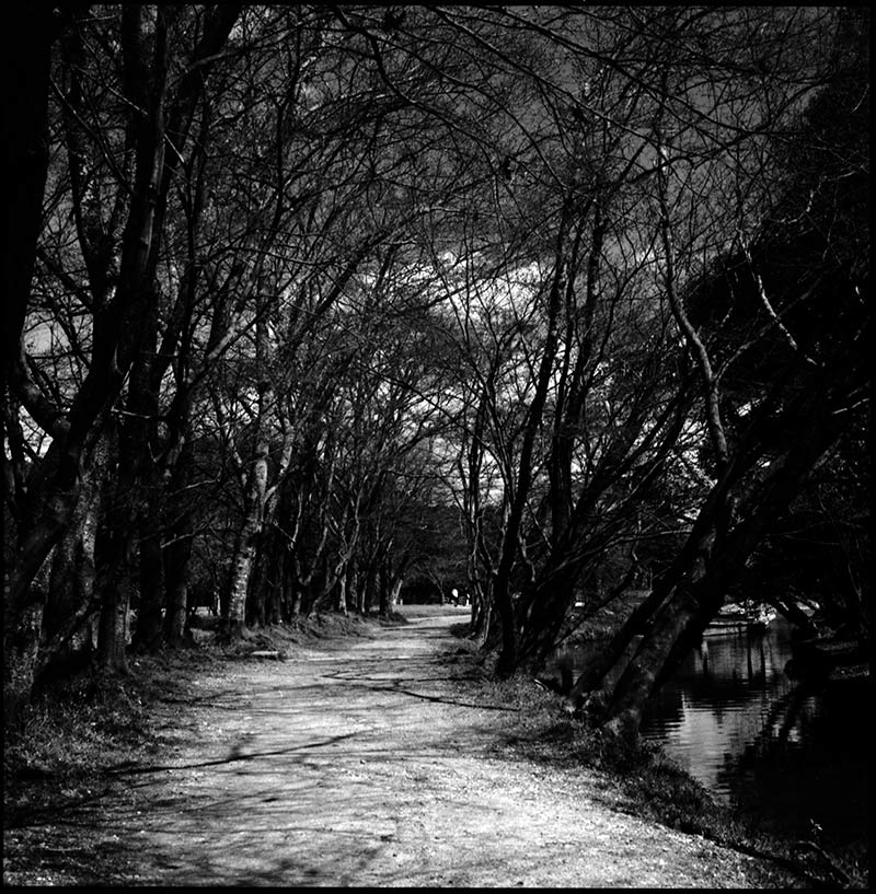 Arched Trail Path &copy; Dennis Mojado