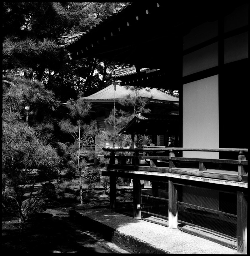 Zen Pristine &copy; Dennis Mojado