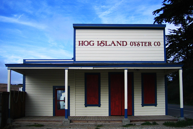 Hog Island Oyster Co &copy; Dennis Mojado