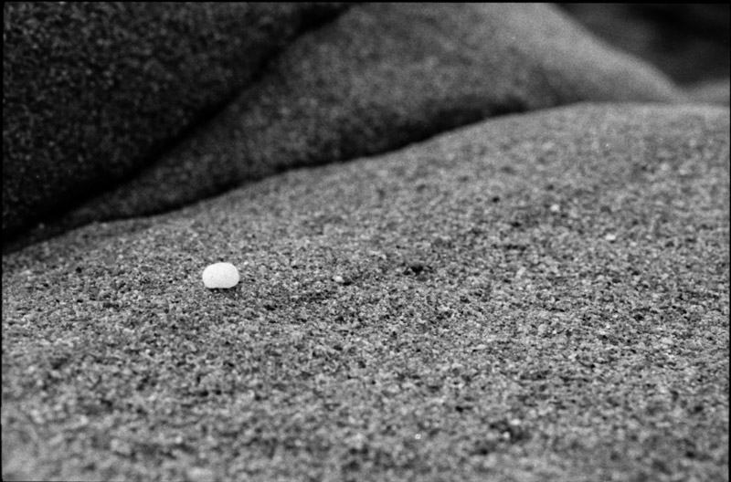 White Pebble &copy; Dennis Mojado