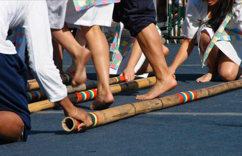Tinikling &copy; Dennis Mojado