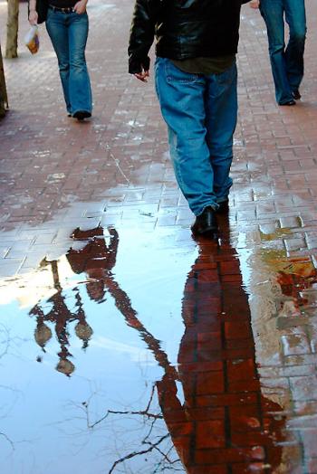 dennis-on-puddle.jpg