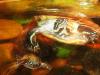 Turtles