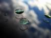 Fall Showers I