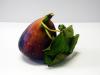 Fig