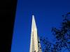 Transamerica, Through the Trees