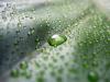 Drops