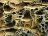 Sea Caverns I