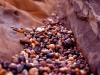 Valley of Pebbles