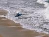 Surf Pause